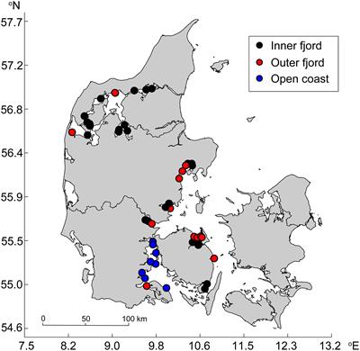 Sediment Stocks of Carbon, Nitrogen, and Phosphorus in Danish Eelgrass Meadows